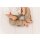 Schoberl Baumwollhose 12-18 Mon. (80/86) L