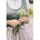 Dirndl Cimon 2 TEILER DAMEN